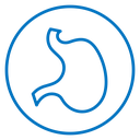 Stomach icon
