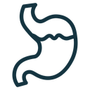 Stomach with Liquids icon