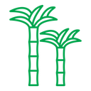 Sugar cane icon