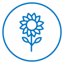 Sunflower 2 icon