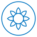 Sunflower icon