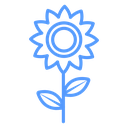 Sunflower icon