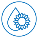 Sunflower oil icon