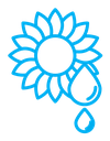 Sunflower oil icon