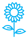 Sunflower icon