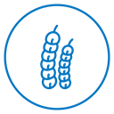 Tamarind icon