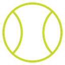 Tennis ball set icon