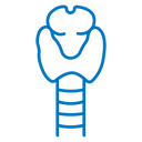 Thyroid icon