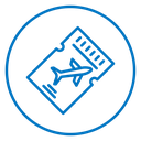 Ticket airline 2 icon