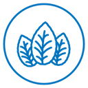 Tobacco leaves icon