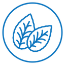 Tobacco leaves icon