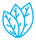 Tobacco leaves icon