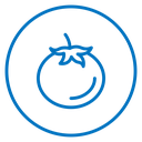 Tomato 2 icon