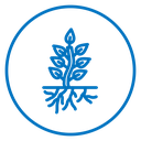 Tree with roots and leaves icon