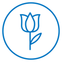 Tulip 2 icon
