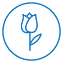 Tulip 2 icon