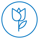 Tulip icon