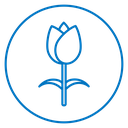 Tulip Flower icon