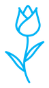 Tulip icon