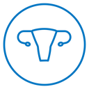 Uterus icon
