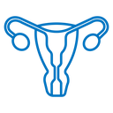 Uterus icon