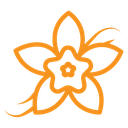 Vanilla icon