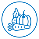Vegetable icon