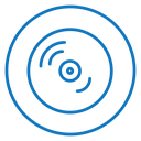 Vinyl icon
