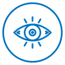 Vision icon