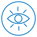 Vision icon