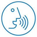 Voice recognition icon