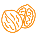 Walnut icon