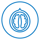 Walnut icon