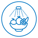 Wash fruits icon