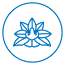 Water Lily Bloom icon