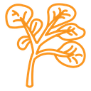 Watercress vegetable icon