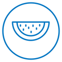 Watermelon icon