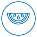 Watermelon icon