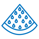 Watermelon icon