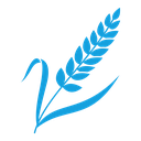 Wheat 2 icon