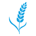 Wheat 3 icon