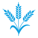 Wheat icon