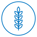 Wheat 2 icon