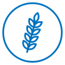 Wheat 3 icon