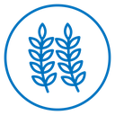 Wheat icon