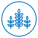 Wheat icon