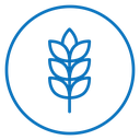 Wheat 2 icon