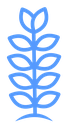 Wheat grain icon