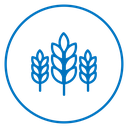 Wheat Grain icon