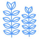 Wheat Stalk Pair Color Outline icon